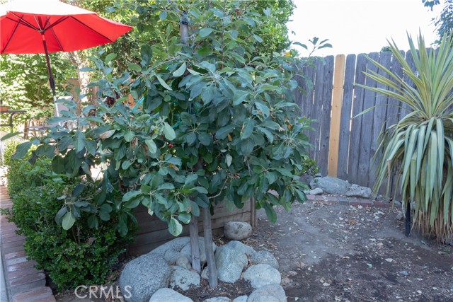 11537 Mount Hood Court, Rancho Cucamonga CA: https://media.crmls.org/medias/ef257b4b-6bb3-4705-9d9d-28ec8ccdb0cd.jpg