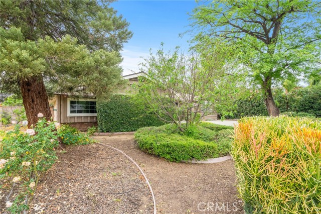 Detail Gallery Image 4 of 57 For 1329 N 2nd, Upland,  CA 91786 - 4 Beds | 2 Baths