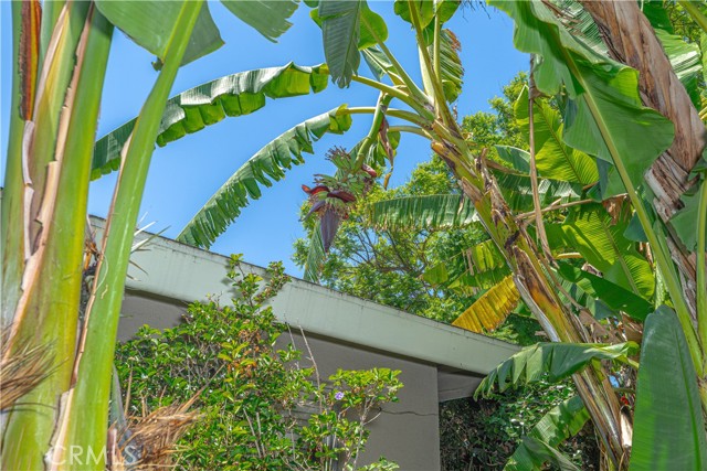 Detail Gallery Image 45 of 60 For 8922 Tracy Ave, Garden Grove,  CA 92841 - 3 Beds | 2 Baths