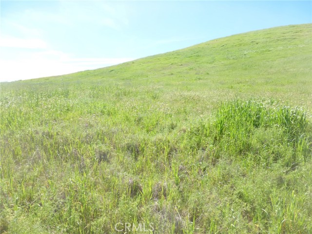 Detail Gallery Image 46 of 51 For 0 Douglas Rd. (Lot 33), San Miguel,  CA 93451 - – Beds | – Baths