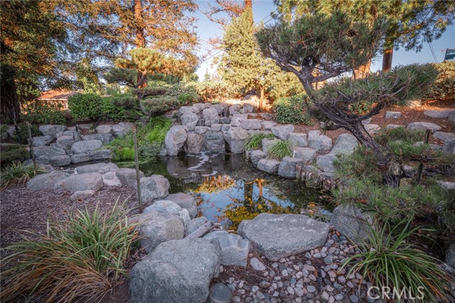 3455 Rancho Rio Bonita photo 14