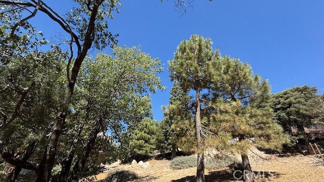 Detail Gallery Image 13 of 15 For 0 Piedras Grande, Green Valley Lake,  CA 92341 - – Beds | – Baths