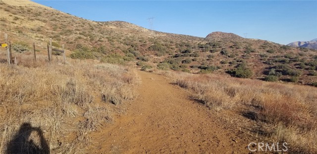 0 Rolandee Street, Acton CA: https://media.crmls.org/medias/ef3cf89e-390b-4020-aba2-fac7a0f0820b.jpg