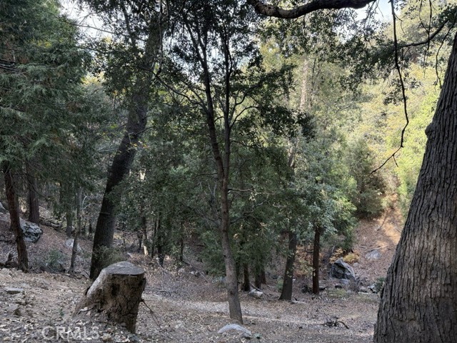 Detail Gallery Image 7 of 16 For 0 Mojave River Rd, Cedarpines Park,  CA 92322 - – Beds | – Baths