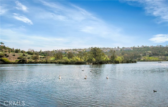 24336 Hillview Drive, Laguna Niguel CA: https://media.crmls.org/medias/ef430373-9250-4697-945e-399def4bf34f.jpg