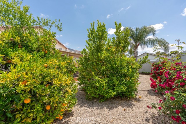 Detail Gallery Image 26 of 51 For 29557 Warmsprings Dr, Menifee,  CA 92584 - 2 Beds | 2 Baths