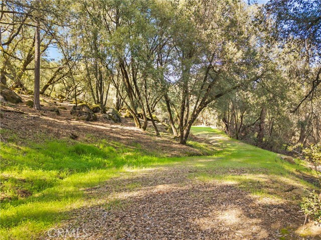 Detail Gallery Image 8 of 32 For 1371 Moccasin Trl, Placerville,  CA 95667 - – Beds | – Baths