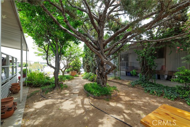 3700 Buchanan, Riverside CA: https://media.crmls.org/medias/ef490103-5368-47c3-8f94-dffe5f061596.jpg