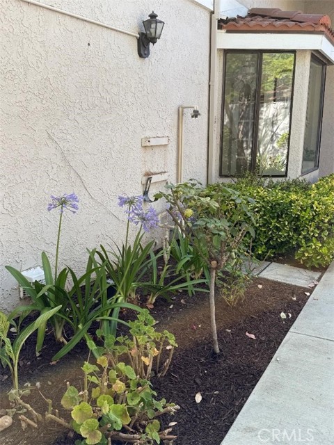 Detail Gallery Image 27 of 55 For 5105 Despacio, Laguna Woods,  CA 92637 - 2 Beds | 2 Baths