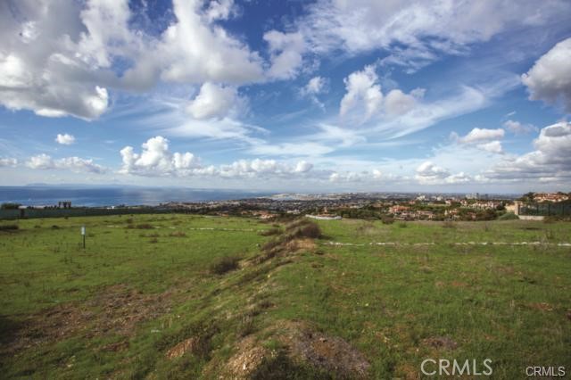 11 Pelican Crest Drive, Newport Coast CA: https://media.crmls.org/medias/ef4b4760-601d-4e62-974a-97e34aaef5ea.jpg