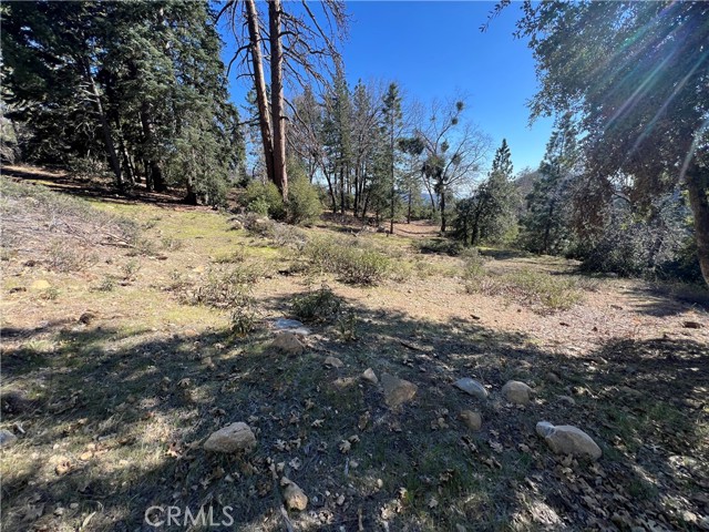 Detail Gallery Image 14 of 18 For 0 Ca-38, Angelus Oaks,  CA 92305 - – Beds | – Baths