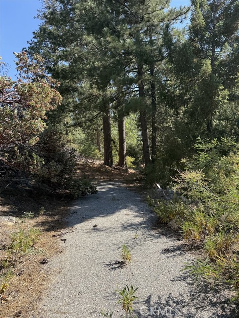 0 Ca-38, Angelus Oaks CA: https://media.crmls.org/medias/ef4cfa11-ad49-455d-801a-c467bd6f51a5.jpg