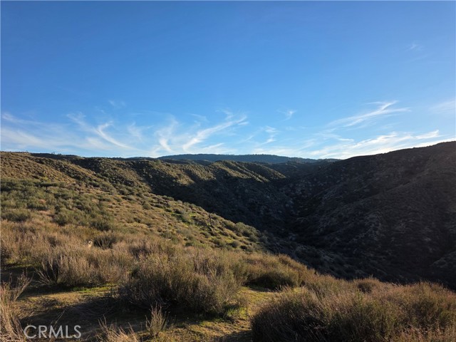 Detail Gallery Image 22 of 29 For 25 3points, Lake Hughes,  CA 93532 - – Beds | – Baths