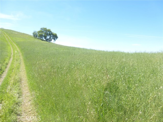 Detail Gallery Image 22 of 44 For 0 Douglas Rd. (Lot 34), San Miguel,  CA 93451 - – Beds | – Baths