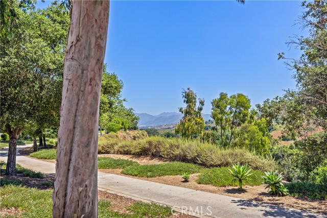 Detail Gallery Image 28 of 29 For 84 via Lampara, Rancho Santa Margarita,  CA 92688 - 3 Beds | 2/1 Baths