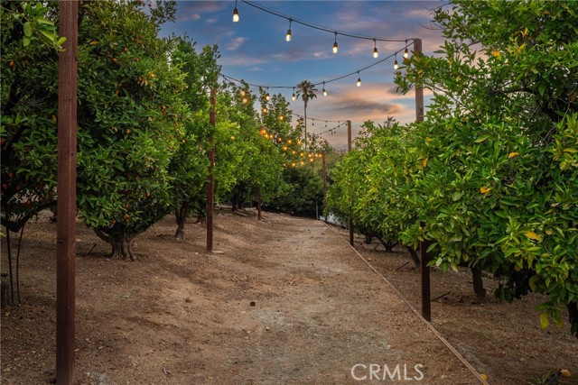 Detail Gallery Image 7 of 59 For 31819 Highview Dr, Redlands,  CA 92373 - 4 Beds | 3/1 Baths