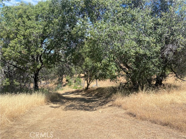 Detail Gallery Image 15 of 32 For 4764 4766 Hirsch Rd, Mariposa,  CA 95338 - – Beds | – Baths