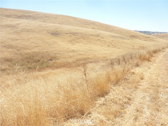 Detail Gallery Image 13 of 42 For 0 Douglas Rd. (Lots 40-43), San Miguel,  CA 93451 - – Beds | – Baths