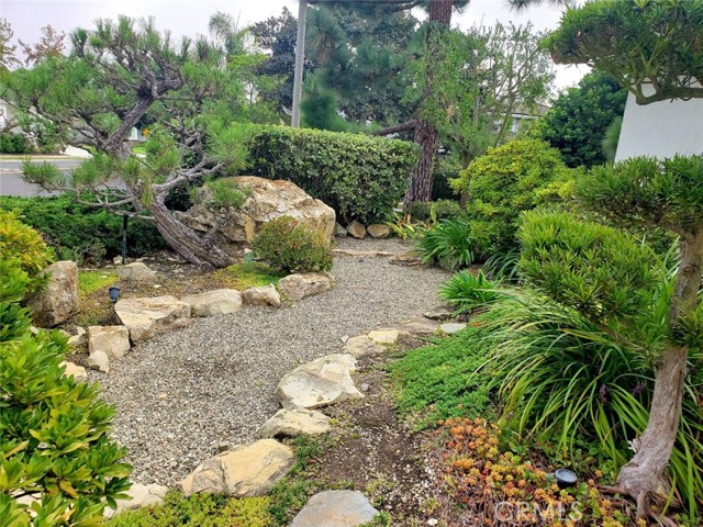 Japanese Garden