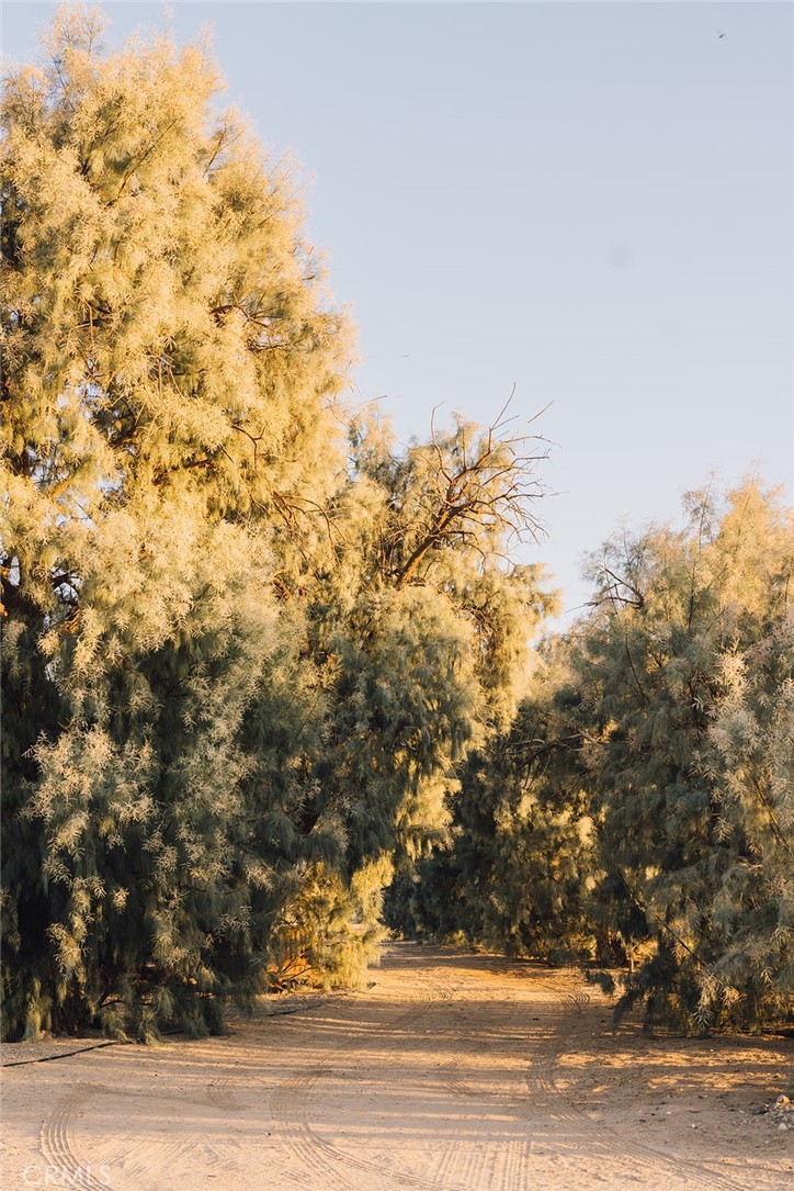 https://media.crmls.org/medias/ef6e3151-85cc-4102-88b7-36addc38576d.jpg?preset=X-Large