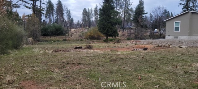 Front Image Thumbnail for CRSN25249279