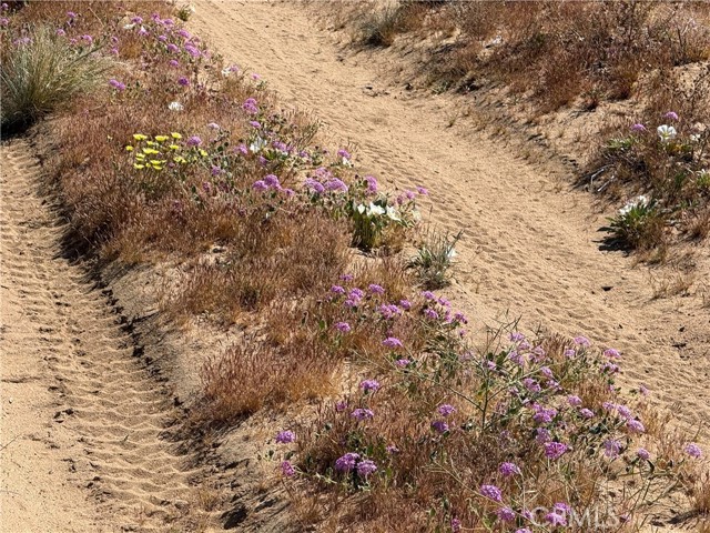 Detail Gallery Image 9 of 11 For 0 Ca-247, Johnson Valley,  CA 92285 - – Beds | – Baths