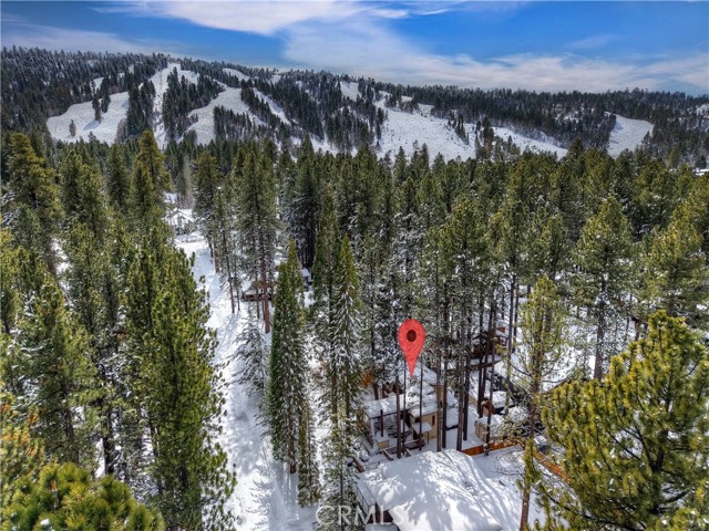 Detail Gallery Image 8 of 50 For 764 Crestwood, Big Bear Lake,  CA 92315 - 2 Beds | 2 Baths