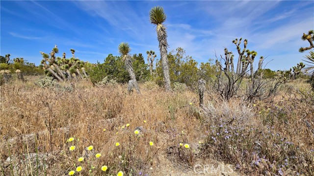 Detail Gallery Image 24 of 49 For 0 103rd St East Vicinity W14, –,  CA 93543 - – Beds | – Baths