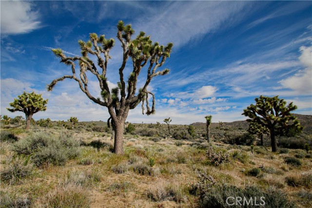 Detail Gallery Image 5 of 32 For 26 Vista Rd, Pioneertown,  CA 92356 - – Beds | – Baths