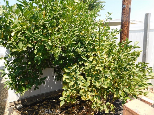 13063 5TH Street, Yucaipa CA: https://media.crmls.org/medias/ef8193fd-db37-4a38-955a-559e2a57da15.jpg
