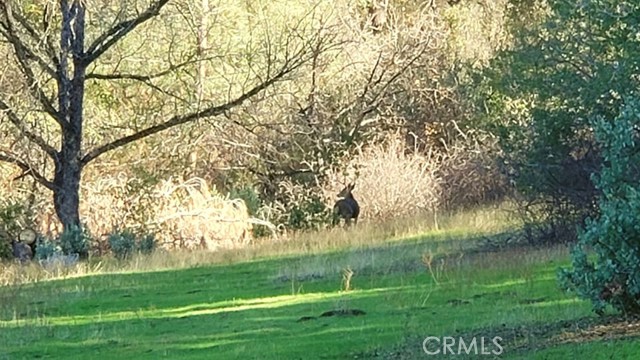 Detail Gallery Image 7 of 15 For 0 Unassigned Boyer Rd, Mariposa,  CA 95338 - – Beds | – Baths