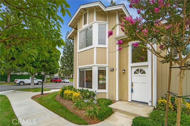 Front Image Thumbnail for CROC25266233