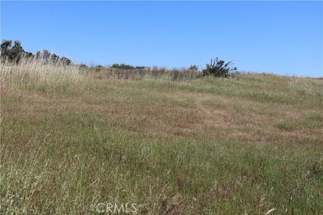 Detail Gallery Image 28 of 32 For 0 Carona Ave., Corning,  CA 96021 - – Beds | – Baths