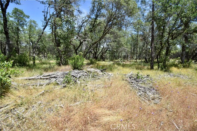 0 Mackey Court, Oroville CA: https://media.crmls.org/medias/ef8ec60a-6591-4061-8d45-7f236aa18e31.jpg