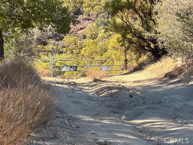 0 Chapman Road, Anza CA: https://media.crmls.org/medias/ef8ff014-e5cf-4ea3-8626-ee431a7e7a5a.jpg