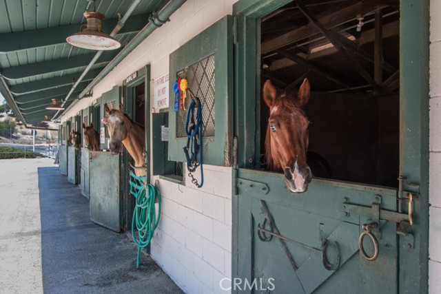 Detail Gallery Image 48 of 48 For 2390 via Mariposa W 2c,  Laguna Woods,  CA 92637 - 2 Beds | 2 Baths