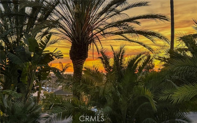 Detail Gallery Image 24 of 51 For 3524 Grand View Bld, Los Angeles,  CA 90066 - 5 Beds | 4/2 Baths