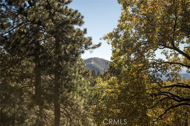 2461 Spring Oak Drive, Running Springs CA: https://media.crmls.org/medias/efa1a57b-cec2-47ec-aa68-dad9c7495335.jpg