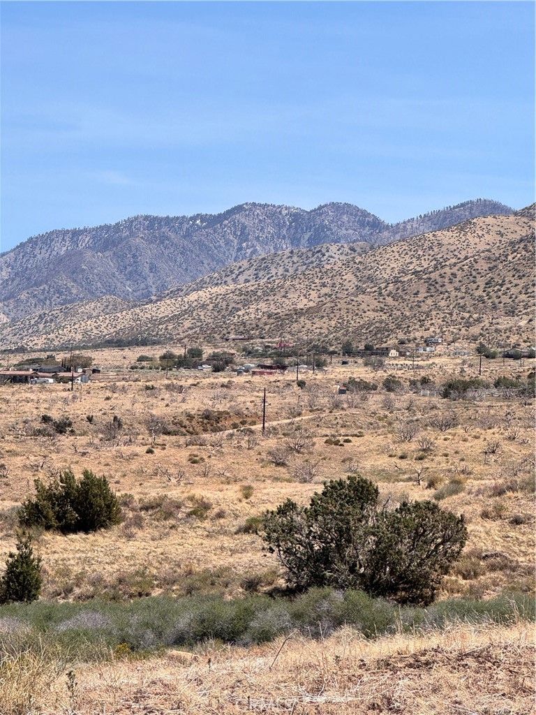 MLS #CV25086418 img 2