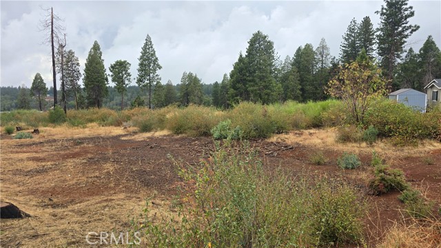 Detail Gallery Image 5 of 9 For 6167 Ponderosa, Magalia,  CA 95954 - – Beds | – Baths