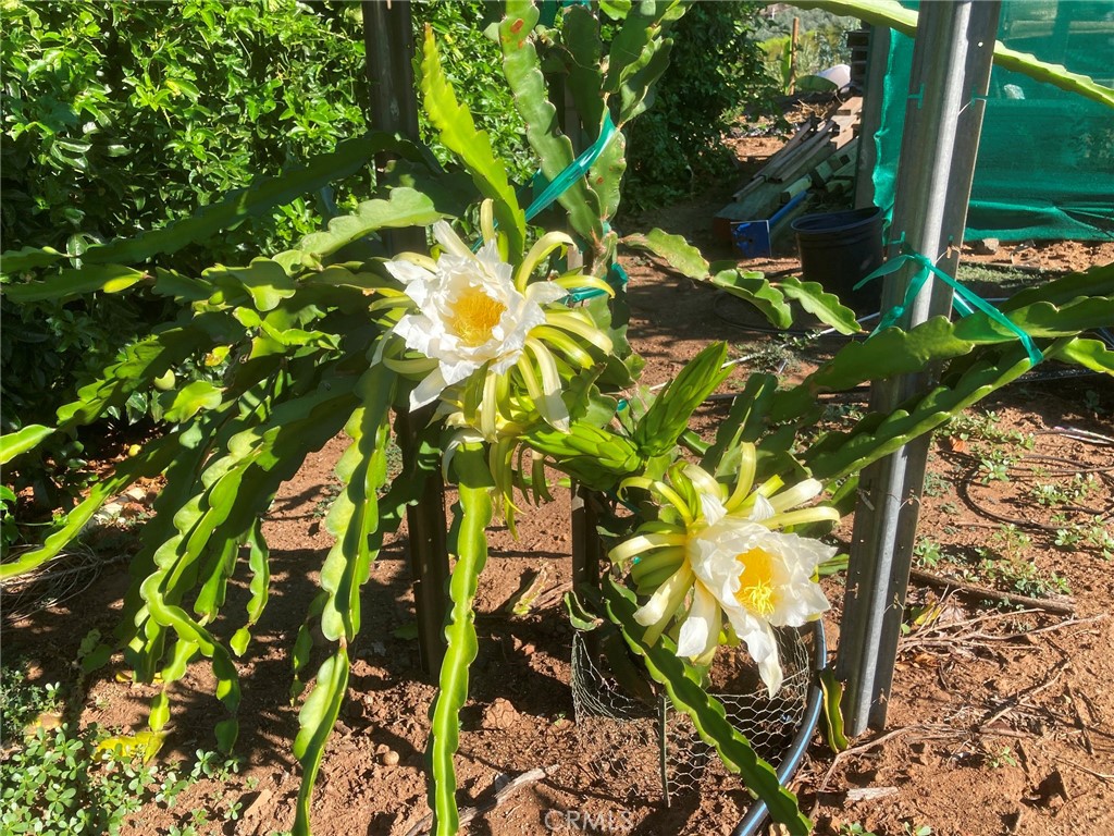 MLS #SW24226307 img 6