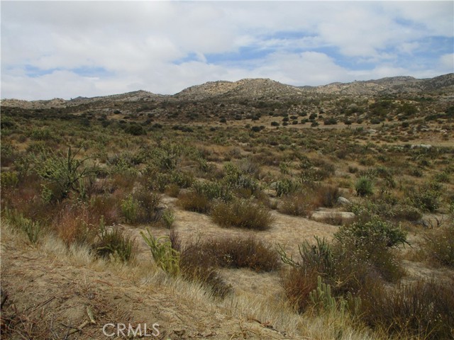 MLS# SW21126881