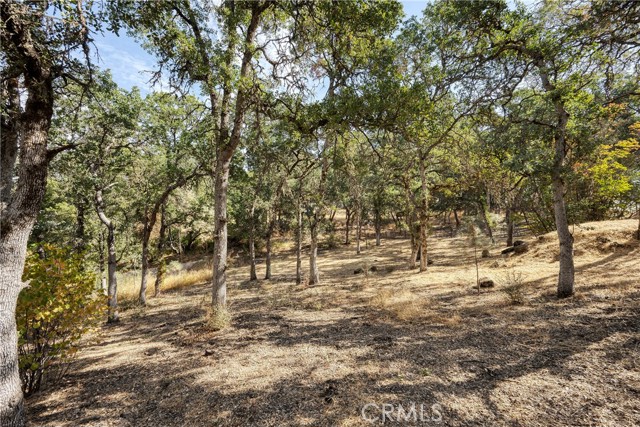 15358 Pacific Street, Clearlake, California 95422, ,Land,For Sale,15358 Pacific Street,CRLC23176279