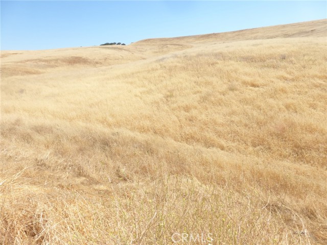 Detail Gallery Image 15 of 42 For 0 Douglas Rd. (Lots 40-43), San Miguel,  CA 93451 - – Beds | – Baths