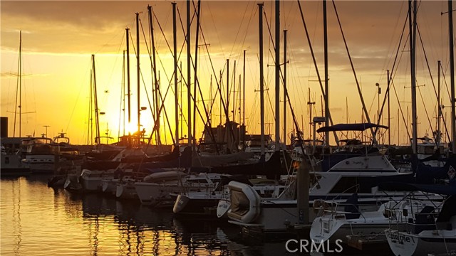 Marina at Sunset