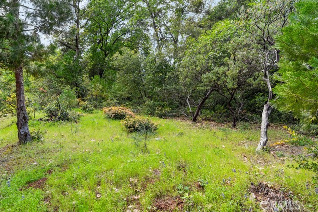 Image 16 of 24 For 21324 Aqueduct Circle