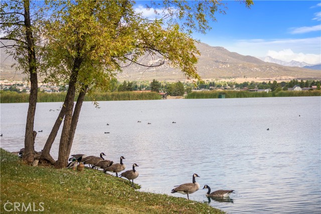 Detail Gallery Image 56 of 68 For 40135 N Caliente Rd, Aguanga,  CA 92536 - 3 Beds | 2 Baths