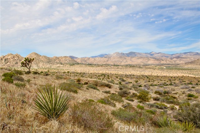 Detail Gallery Image 38 of 52 For 5051 Chapparosa Rd, Pioneertown,  CA 92268 - – Beds | – Baths