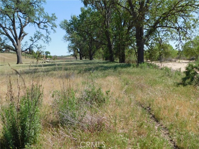 Detail Gallery Image 36 of 71 For 6675 Webster Rd, Creston,  CA 93432 - – Beds | – Baths