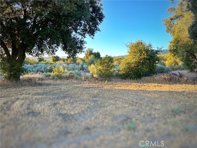 Image 60 of 70 For 29820 Chihuahua Valley Road